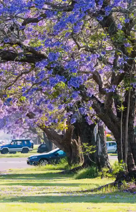 Microsoft consulting for Northern NSW businesses