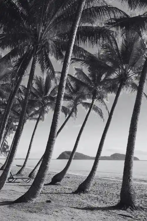 Palm Cove, Far North Queensland