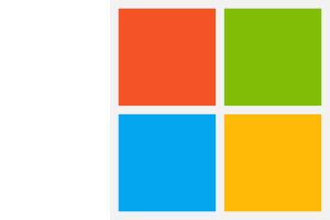Microsoft: Business Solutions in MS Office and Microsoft technologies.